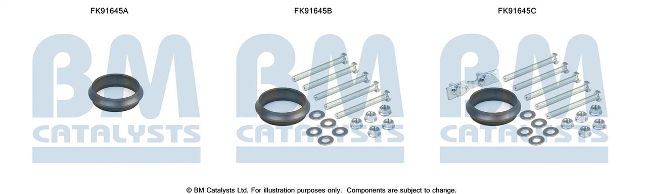 BM Catalysts FK91645 Mounting Kit, catalytic converter FK91645: Buy near me in Poland at 2407.PL - Good price!