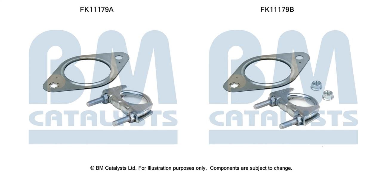 BM Catalysts FK11179 Фильтр сажевый DPF FK11179: Отличная цена - Купить в Польше на 2407.PL!
