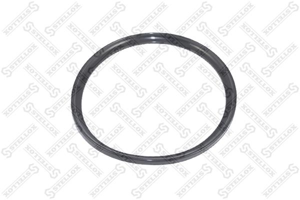 Stellox 81-01024-SX Ring sealing 8101024SX: Buy near me at 2407.PL in Poland at an Affordable price!