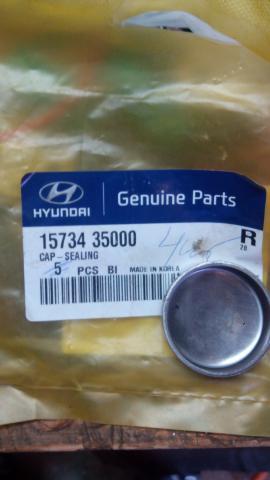 Hyundai/Kia 15734 35000 Uszczelnienie przeciwmrozowe 1573435000: Dobra cena w Polsce na 2407.PL - Kup Teraz!