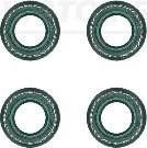 Victor Reinz 12-31052-02 Valve oil seals, kit 123105202: Buy near me in Poland at 2407.PL - Good price!