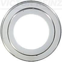 Victor Reinz 70-23062-00 Seal, valve stem 702306200: Buy near me in Poland at 2407.PL - Good price!
