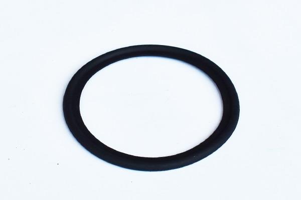 ASAM 55308 Termostat gasket 55308: Buy near me at 2407.PL in Poland at an Affordable price!