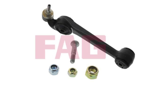 FAG 821 0239 10 Track Control Arm 821023910: Buy near me in Poland at 2407.PL - Good price!