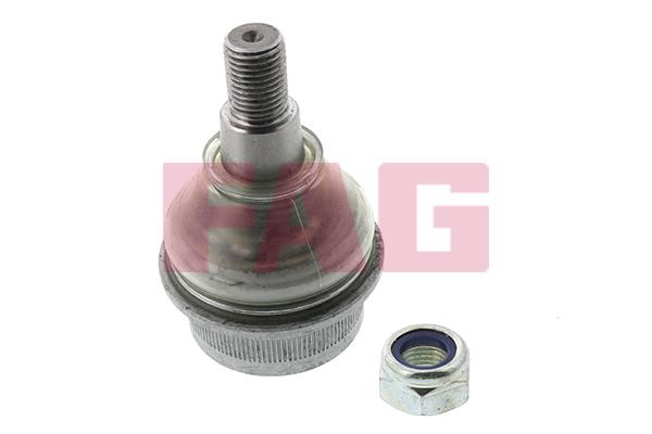 FAG 825 0060 10 Ball joint 825006010: Buy near me in Poland at 2407.PL - Good price!