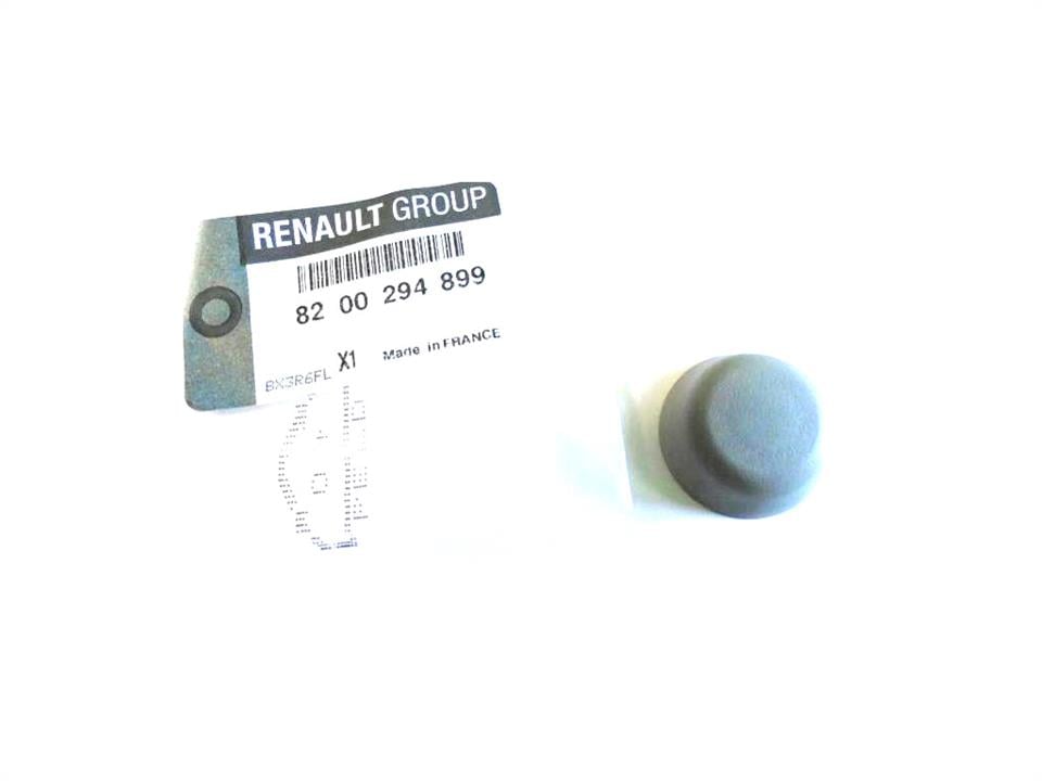 Renault 82 00 294 899 Sealing cap 8200294899: Buy near me at 2407.PL in Poland at an Affordable price!