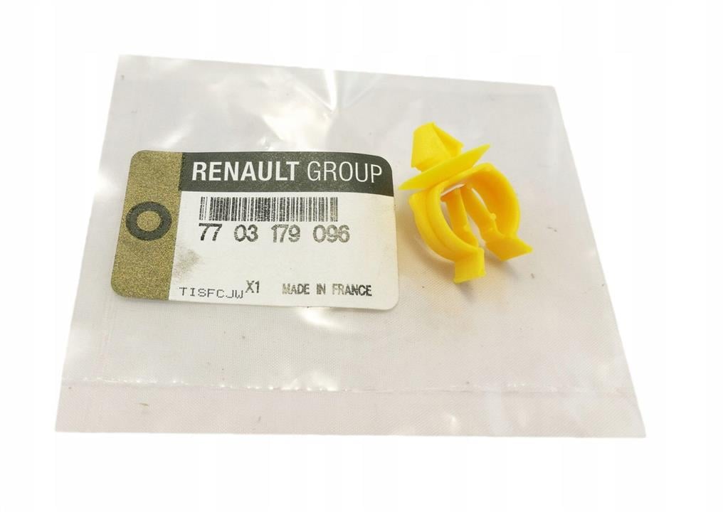 Renault 77 03 179 096 Mocowanie 7703179096: Dobra cena w Polsce na 2407.PL - Kup Teraz!