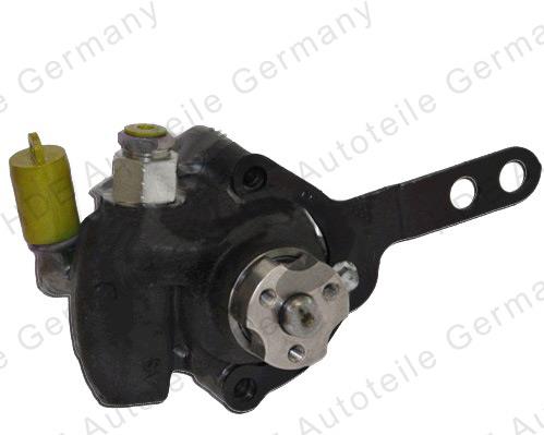HDE 307017 Hydraulic Pump, steering system 307017: Buy near me in Poland at 2407.PL - Good price!