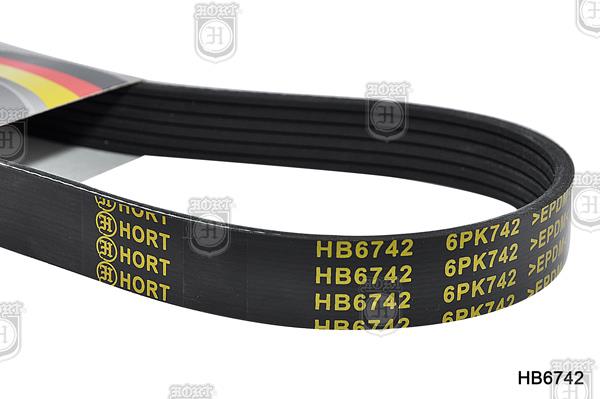 Hort HB6742 V-Ribbed Belt HB6742: Buy near me in Poland at 2407.PL - Good price!