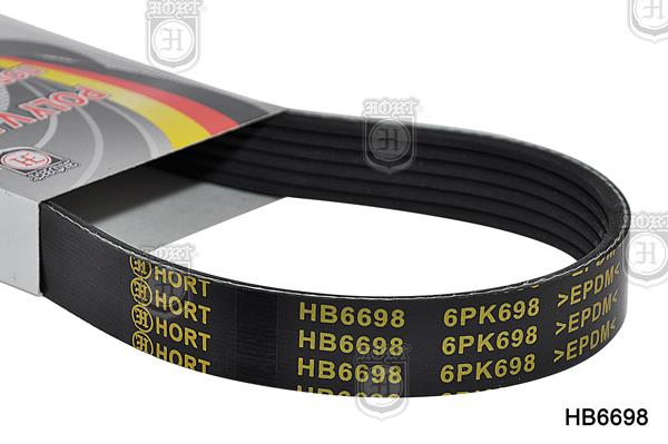 Hort HB6698 V-Ribbed Belt HB6698: Buy near me in Poland at 2407.PL - Good price!