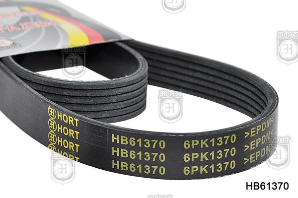 Hort HB61370 V-Ribbed Belt HB61370: Buy near me in Poland at 2407.PL - Good price!