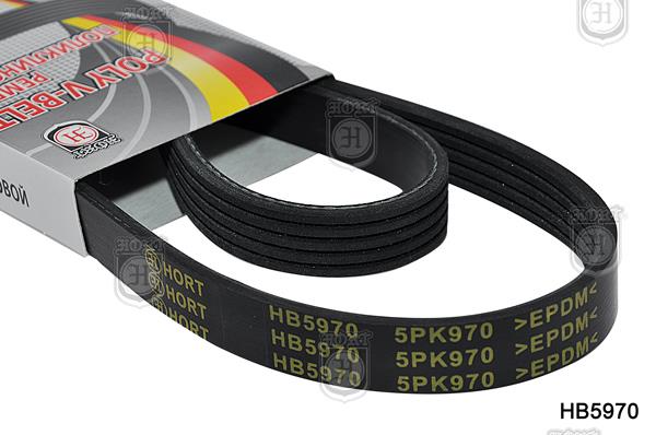 Hort HB5970 V-Ribbed Belt HB5970: Buy near me in Poland at 2407.PL - Good price!