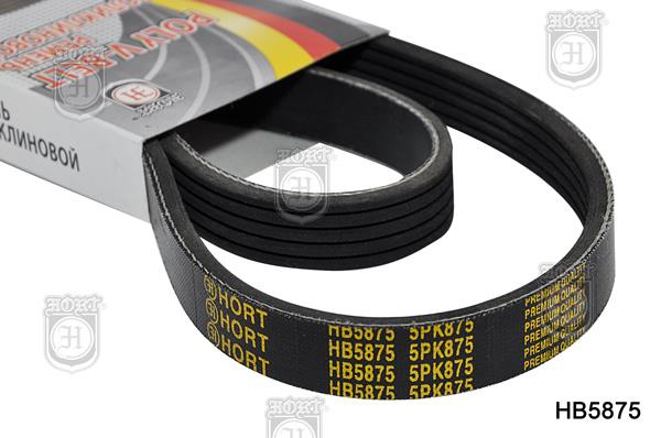 Hort HB5875 V-Ribbed Belt HB5875: Buy near me in Poland at 2407.PL - Good price!