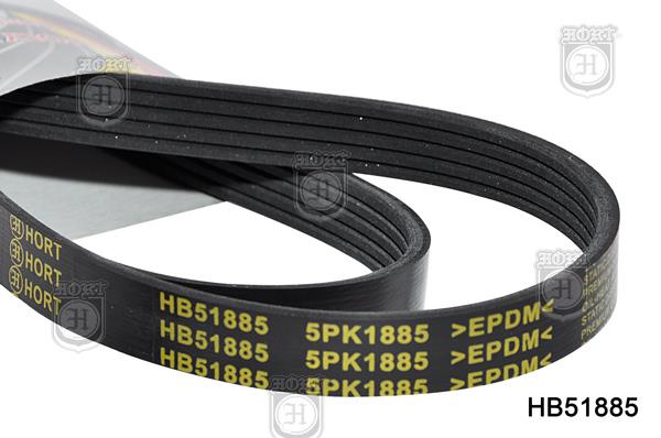 Hort HB51885 V-Ribbed Belt HB51885: Buy near me in Poland at 2407.PL - Good price!