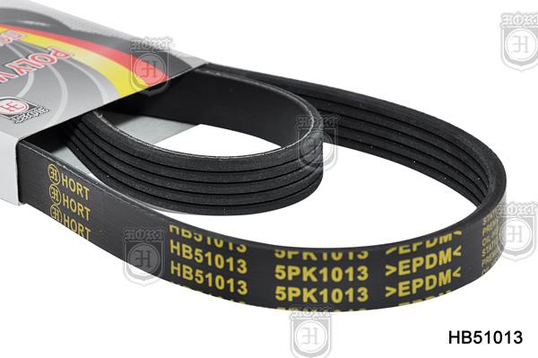 Hort HB51013 V-Ribbed Belt HB51013: Buy near me in Poland at 2407.PL - Good price!
