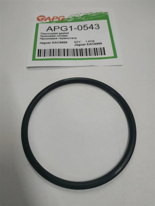 APG APG1-0543 Thermostat O-Ring APG10543: Buy near me in Poland at 2407.PL - Good price!