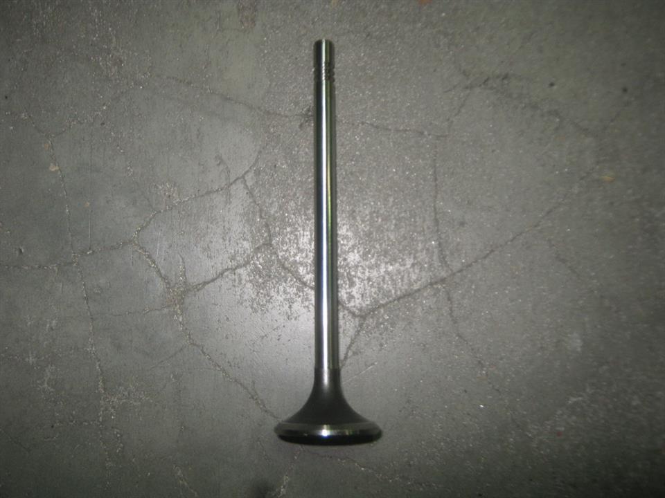 Ssang Yong 6650500427 Exhaust valve 6650500427: Buy near me in Poland at 2407.PL - Good price!
