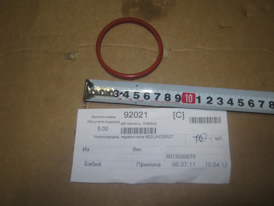 Ssang Yong 6012030076 Termostat gasket 6012030076: Buy near me in Poland at 2407.PL - Good price!