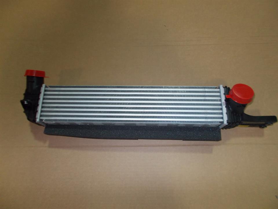 Ssang Yong 2371034101 Intercooler, charger 2371034101: Buy near me in Poland at 2407.PL - Good price!