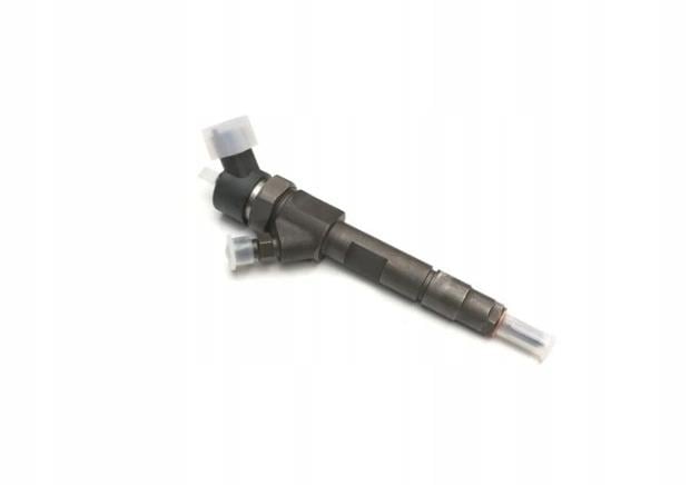 Renault 82 00 238 528 Injector fuel 8200238528: Buy near me in Poland at 2407.PL - Good price!