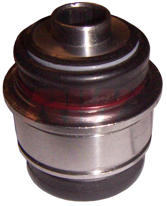 RIW Automotive BW10003 Control Arm-/Trailing Arm Bush BW10003: Buy near me in Poland at 2407.PL - Good price!