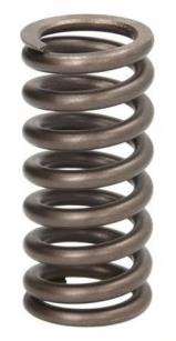 Delphi 7204-0512 Injector spring 72040512: Buy near me at 2407.PL in Poland at an Affordable price!