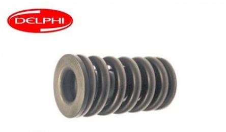 Delphi 7169-539 Injector spring 7169539: Buy near me in Poland at 2407.PL - Good price!