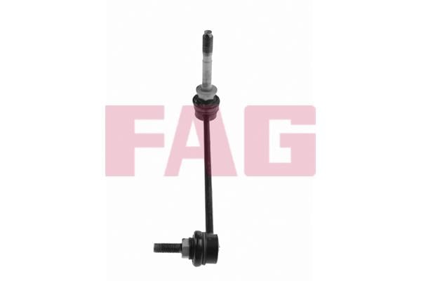 FAG 818 0361 10 Rod/Strut, stabiliser 818036110: Buy near me at 2407.PL in Poland at an Affordable price!