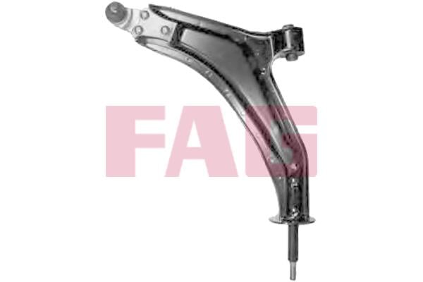 FAG 821 0067 10 Track Control Arm 821006710: Buy near me in Poland at 2407.PL - Good price!
