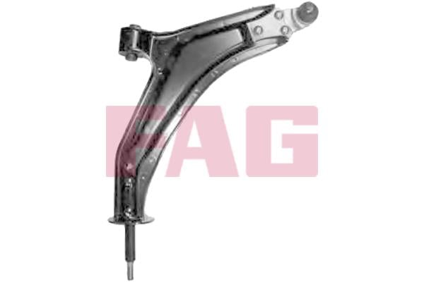 FAG 821 0068 10 Track Control Arm 821006810: Buy near me in Poland at 2407.PL - Good price!