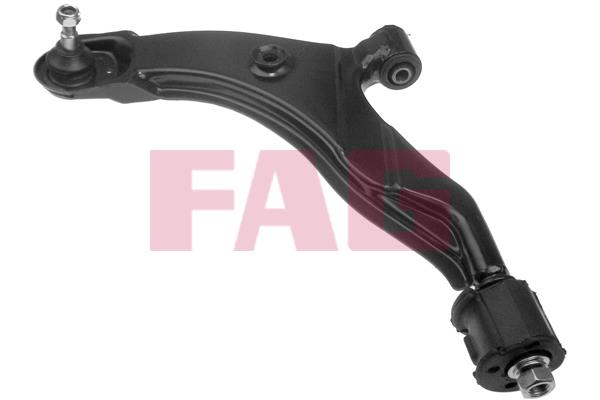 FAG 821 0076 10 Track Control Arm 821007610: Buy near me in Poland at 2407.PL - Good price!