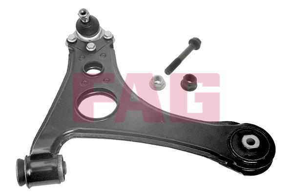 FAG 821 0198 10 Track Control Arm 821019810: Buy near me in Poland at 2407.PL - Good price!