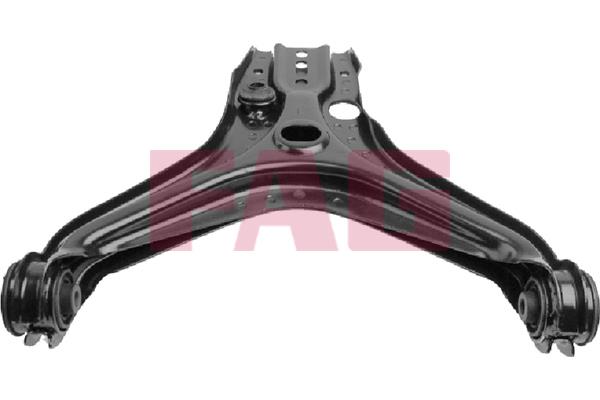 FAG 821 0300 10 Track Control Arm 821030010: Buy near me in Poland at 2407.PL - Good price!
