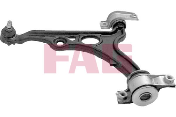 FAG 821 0360 10 Track Control Arm 821036010: Buy near me in Poland at 2407.PL - Good price!