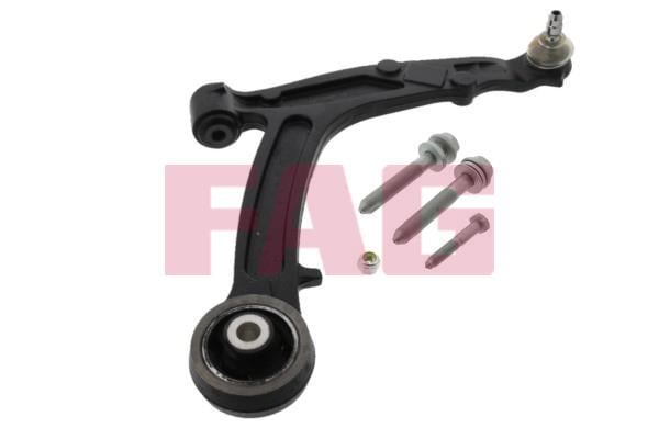 FAG 821 0391 10 Track Control Arm 821039110: Buy near me in Poland at 2407.PL - Good price!