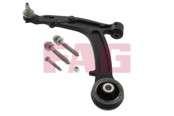 FAG 821 0392 10 Track Control Arm 821039210: Buy near me in Poland at 2407.PL - Good price!