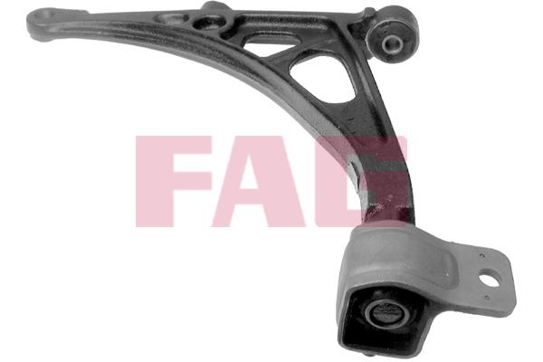 FAG 821 0398 10 Track Control Arm 821039810: Buy near me in Poland at 2407.PL - Good price!