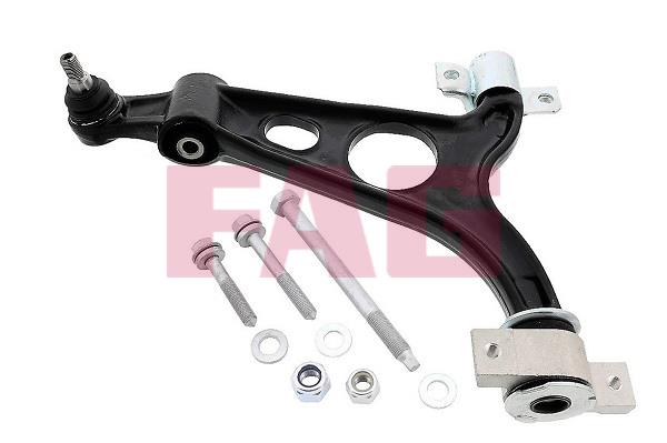 FAG 821 0431 10 Track Control Arm 821043110: Buy near me in Poland at 2407.PL - Good price!