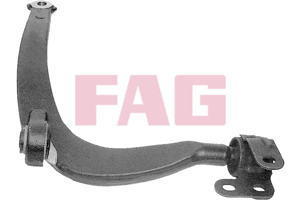 FAG 821 0460 10 Track Control Arm 821046010: Buy near me in Poland at 2407.PL - Good price!