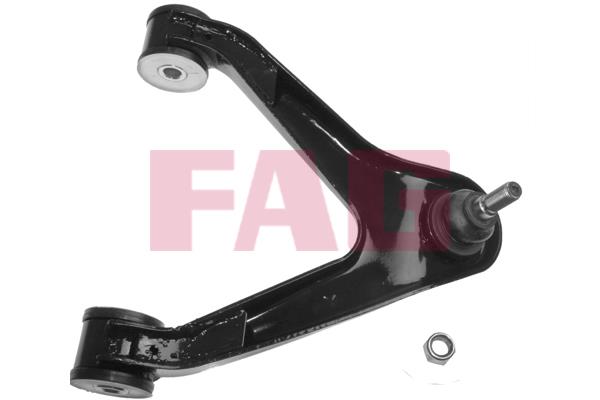 FAG 821 0525 10 Track Control Arm 821052510: Buy near me in Poland at 2407.PL - Good price!