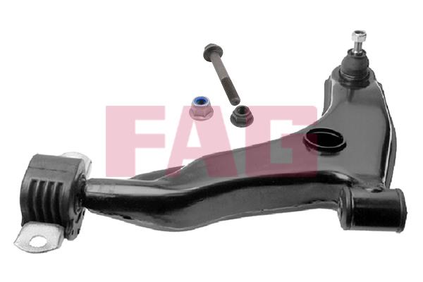 FAG 821 0530 10 Track Control Arm 821053010: Buy near me in Poland at 2407.PL - Good price!
