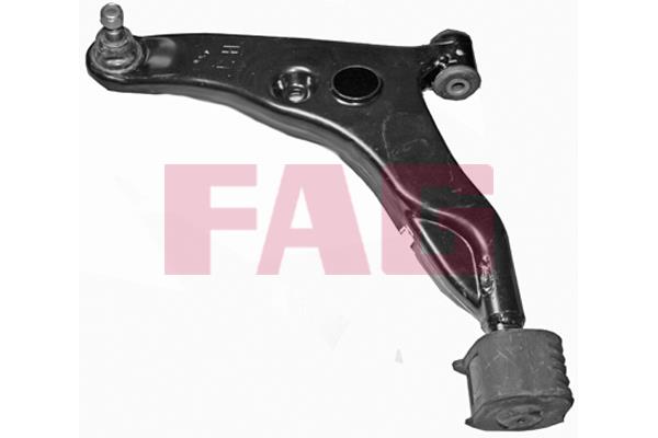 FAG 821 0651 10 Track Control Arm 821065110: Buy near me in Poland at 2407.PL - Good price!