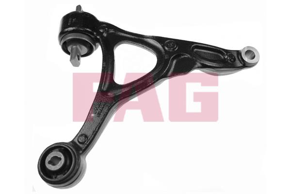 FAG 821 0667 10 Track Control Arm 821066710: Buy near me in Poland at 2407.PL - Good price!