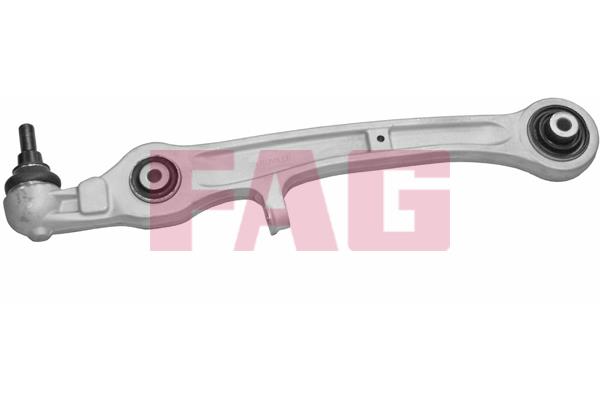FAG 821 0690 10 Track Control Arm 821069010: Buy near me in Poland at 2407.PL - Good price!