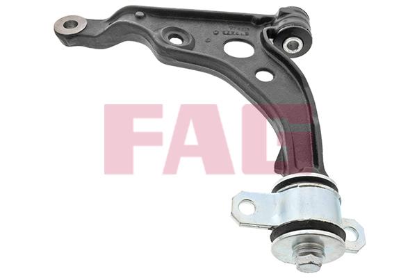 FAG 821 0809 10 Track Control Arm 821080910: Buy near me in Poland at 2407.PL - Good price!