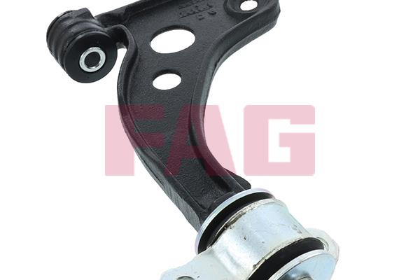 FAG 821 0810 10 Track Control Arm 821081010: Buy near me in Poland at 2407.PL - Good price!