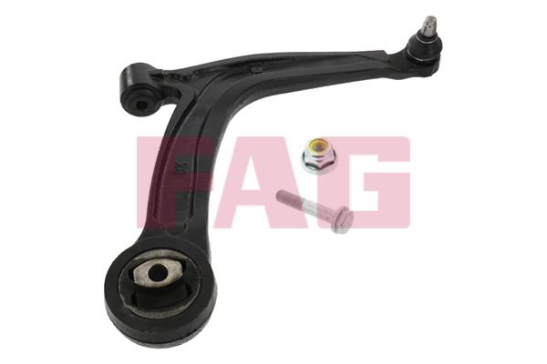 FAG 821 0869 10 Track Control Arm 821086910: Buy near me in Poland at 2407.PL - Good price!