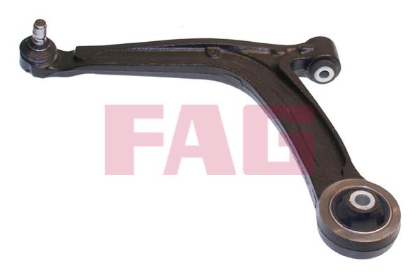 FAG 821 0874 10 Track Control Arm 821087410: Buy near me in Poland at 2407.PL - Good price!
