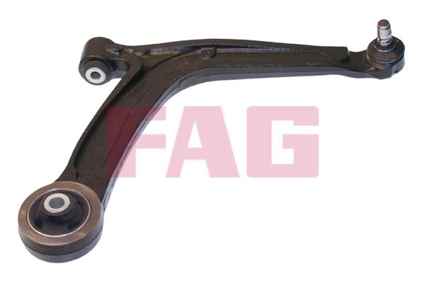 FAG 821 0875 10 Track Control Arm 821087510: Buy near me in Poland at 2407.PL - Good price!