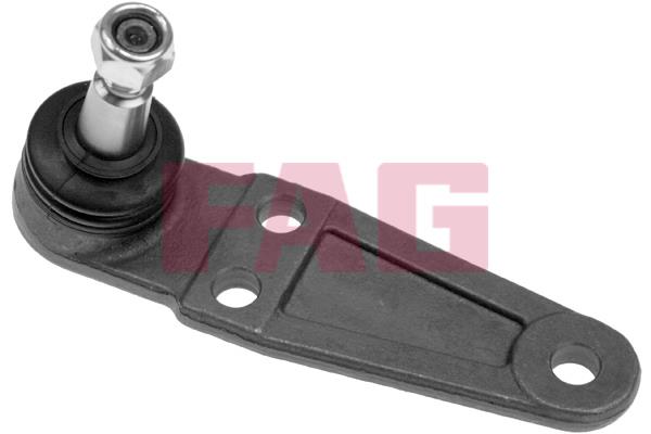 FAG 825 0219 10 Ball joint 825021910: Buy near me in Poland at 2407.PL - Good price!
